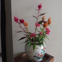今週もがんばっていきましょう！