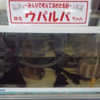 結城市読書感想文コンクール関係の表彰がありました。