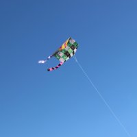 １年生  凧あげ