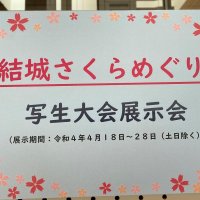 令和４年度結城さくらめぐり 写生会コンテストに参加しました