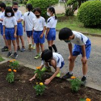 朝ボラで、花の苗植えを･･･