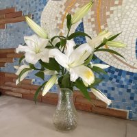 地域の方に、お花をいただきました！