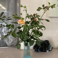 地域の方が来校し、花束をいただきました