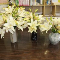 地域の方から花をたくさんいただきました。