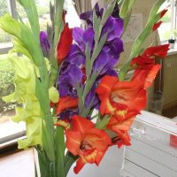 きれいなお花をたくさんいただきました。