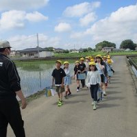 3年生社会科見学