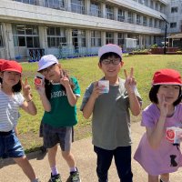 大きくなあれ！ホウセンカの種をまきました！