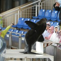 4年生遠足（アクアワールド）
