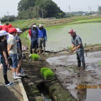 5年生　田植え