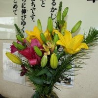 地域の方からお花をいただきました!