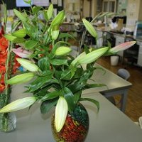 地域の方からきれいなお花をたくさんいただきました！