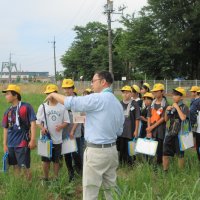 ６年生　ふるさと発見学習（結城廃寺遺跡現地調査、洗浄体験）