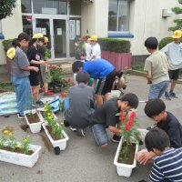 学校が花で彩られました。