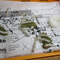 ３年　ふるさと学習