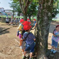 １年生公園探検