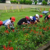 花だんいきいき大作戦