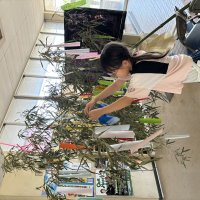 【星に願いを・・・☆彡 】子どもたちの夢は無限大！！