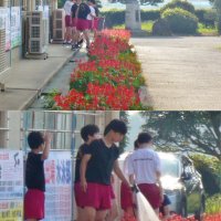 ボランティア（男バレー）