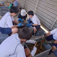 職場体験学習