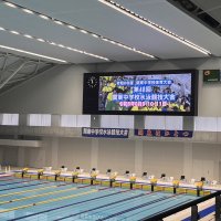 関東中学校水泳競技大会