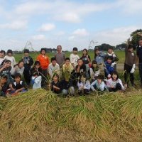 稲刈り体験（５年生）