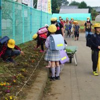 朝どり草取り大作戦①