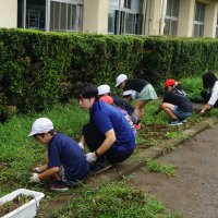 朝取り草取り大作戦③