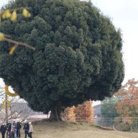 元気に外遊び！