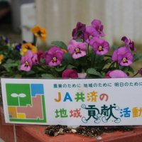 JA北つくばより花の苗の寄贈