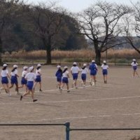 体育の授業の様子
