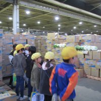 青果市場を見学しました。