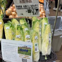 販売していただいております。