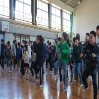 みなみふれあいフェスティバルを行いました。