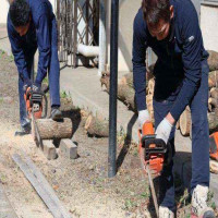 「くすのき」から「コースター」へ