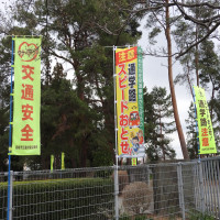 みんなの願い「交通安全」、のぼり旗を寄贈していただきました。
