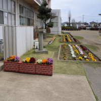花いっぱいの風景