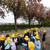 ２年生校外学習「まちで春をさがそう」