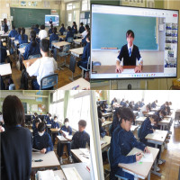 社会科コンテスト