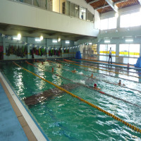 水泳の授業が始まりました