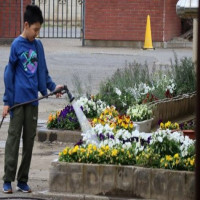 委員会活動頑張っています