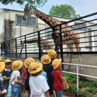 ２年生遠足～宇都宮動物園へ～