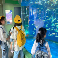 ３・４年生　遠足