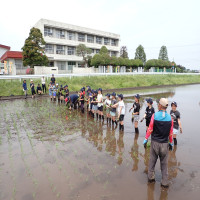 ５年　田植え体験を行いました。