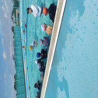 水泳学習