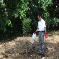 結城小果樹園への一歩