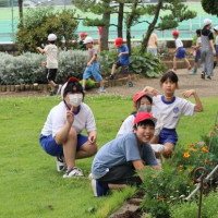 花壇はマリーゴールドでいっぱい！！